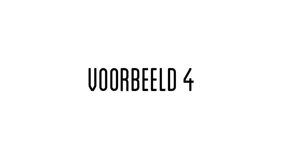 voorbeeld4.jpg
